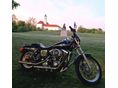 HARLEY-DAVIDSON DYNA LOW RIDER 