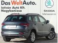 SKODA KAROQ 2019/10 - 2