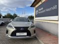 LEXUS RX 2021/8 - 6