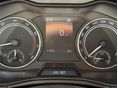 SKODA KAMIQ 2023/8 - 12