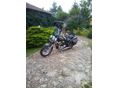 SUZUKI VS Intruder