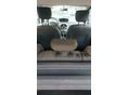 RENAULT GRAND MODUS 2009/2 - 4