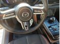 MAZDA MX-30 2020/10 - 13
