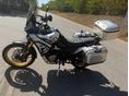 VOGE DS800X RALLY 2026/8 - 2