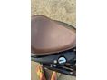 HARLEY-DAVIDSON SPORTSTER 2004/12 - 5