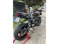 TRIUMPH STREET TRIPLE 675 2014/6 - 3