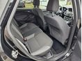 FORD FOCUS 2011/9 - 13
