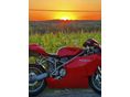 DUCATI 999 2002/9 - 11