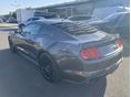 FORD MUSTANG 2019/6 - 5