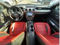 FORD MUSTANG 2019/6 - 10