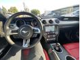 FORD MUSTANG 2019/6 - 11