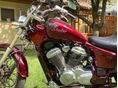 HONDA VT 600 C SHADOW 