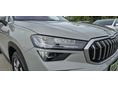 SKODA KODIAQ 2026/2 - 10
