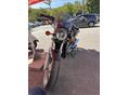 SUZUKI VX 800 1993 - 3