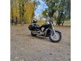KAWASAKI VULCAN 900 CLASSIC 2007/3 - 2