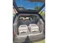 KIA CARNIVAL 2006/12 - 6