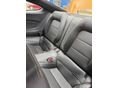 FORD MUSTANG 2023/9 - 5