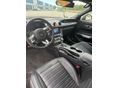 FORD MUSTANG 2023/9 - 7