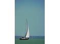 BALATON 19R
