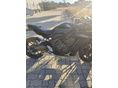 HONDA CBR 650 R 2023 - 2