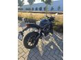 HONDA CBR 650 R 2023 - 4