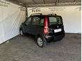 FIAT PANDA 2006 - 5