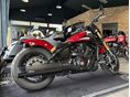 INDIAN SCOUT 2024/5 - 2