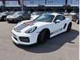 PORSCHE CAYMAN 2015/3 - 2