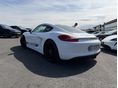 PORSCHE CAYMAN 2015/3 - 3