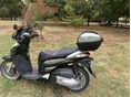 HONDA SH 300 2007/2 - 3