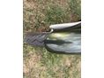 HONDA SH 300 2007/2 - 7