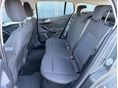 FORD FOCUS 2019/11 - 18