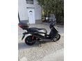 NIU NIU FQI 500 2025/8 - 1