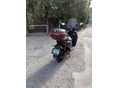 NIU NIU FQI 500 2025/8 - 2