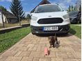 FORD COURIER Transit1.5 TDCi Trend