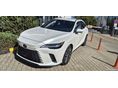 LEXUS RX 2025/4 - 2