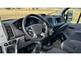 FORD TRANSIT 2018/4 - 19