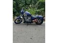 HARLEY-DAVIDSON SPORTSTER XL 883 LOW