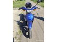 PIAGGIO FREE 50 2000/5 - 3