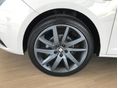 SEAT IBIZA 2014/12 - 12