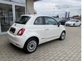 FIAT 500 2019/7 - 5