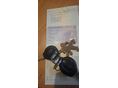 PEUGEOT 206 2000/6 - 10
