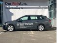 VOLKSWAGEN GOLF 2026/8 - 4