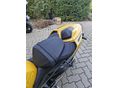 TRIUMPH STREET TRIPLE 2024 - 6