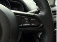 MAZDA 2 2019/4 - 15