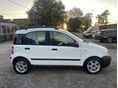 FIAT PANDA 2004/7 - 4
