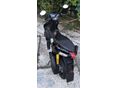 APRILIA SR 50 2006/6 - 5
