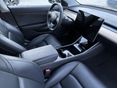 TESLA MODEL 3 2019/9 - 8