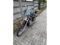 SUZUKI VS 800 (INTRUDER) 1997 - 5
