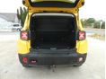 JEEP RENEGADE 2015/6 - 6